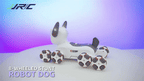8‑Wheel Multi‑Functional RC Robot Dog